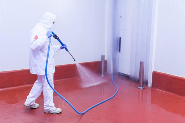 Best Driveway Cleaning and Restoration in Baird, TX